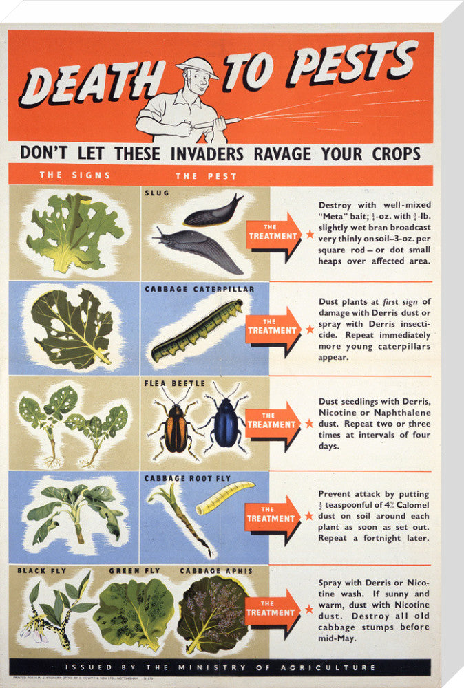 Death To Pests