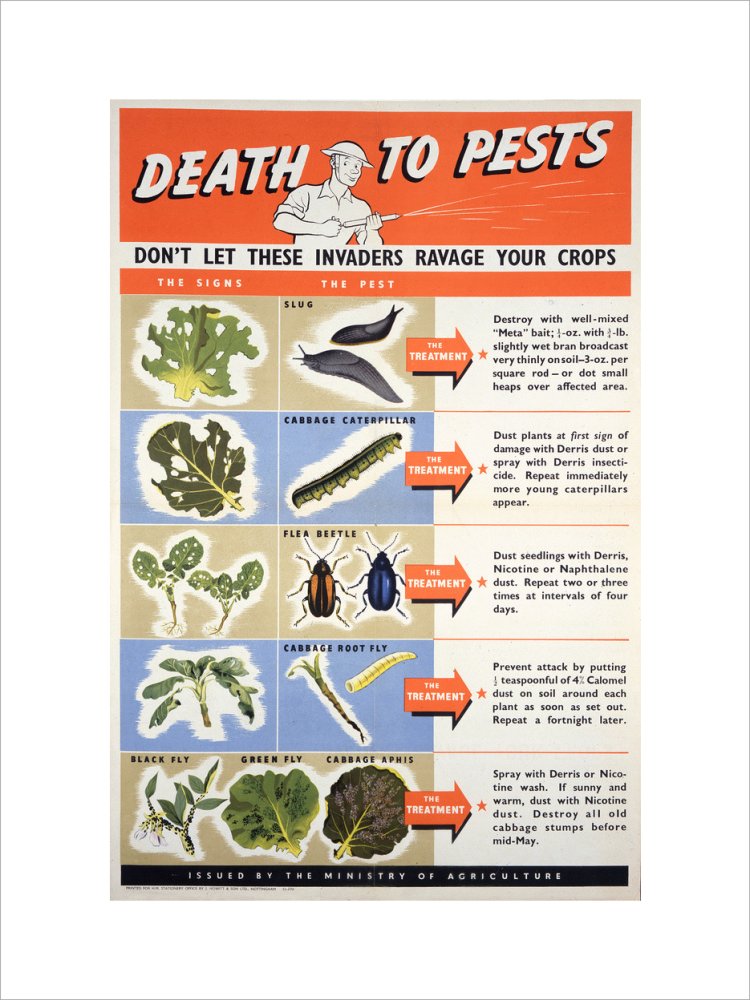 Death To Pests