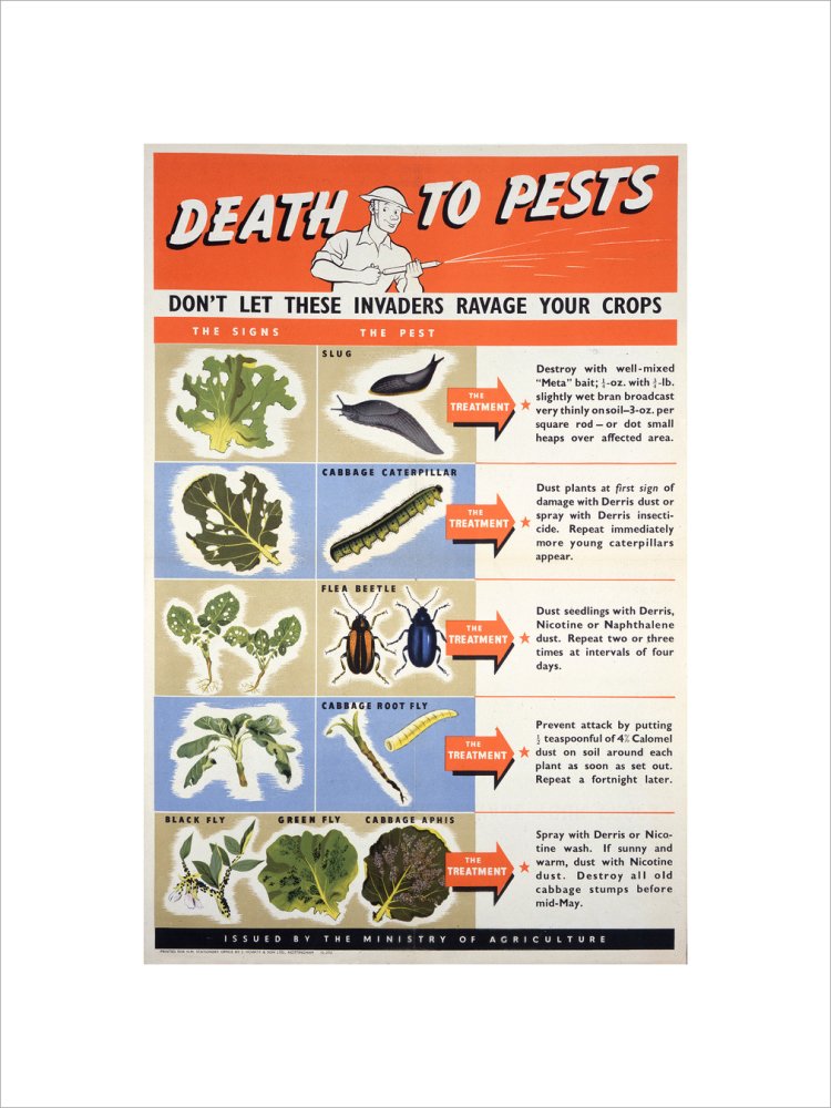 Death To Pests