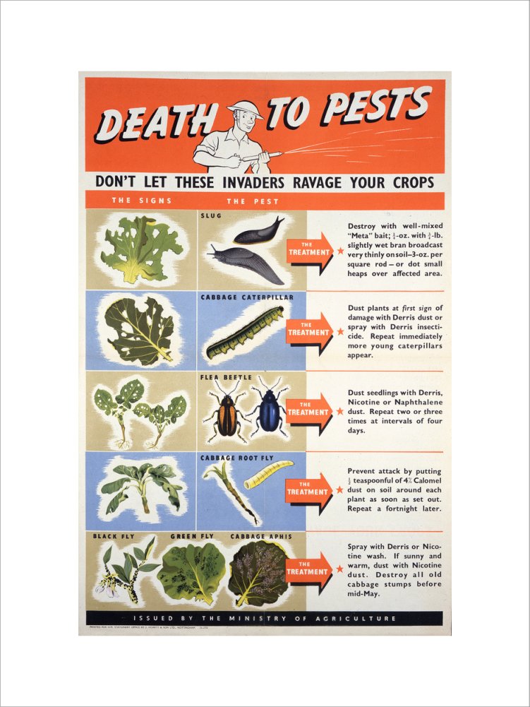 Death To Pests