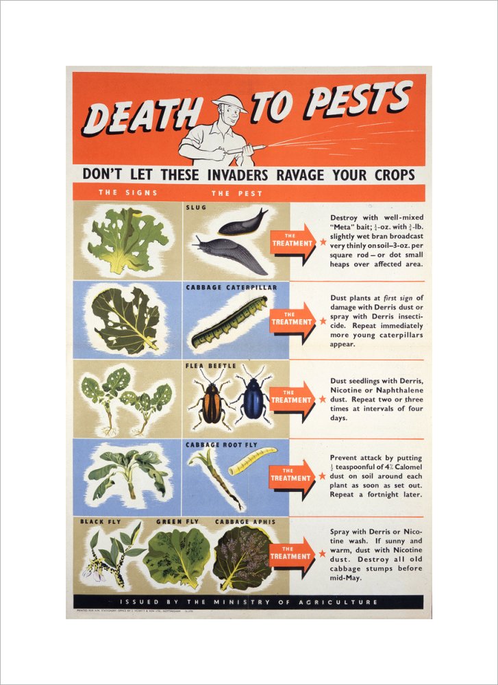 Death To Pests