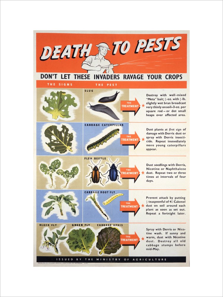Death To Pests