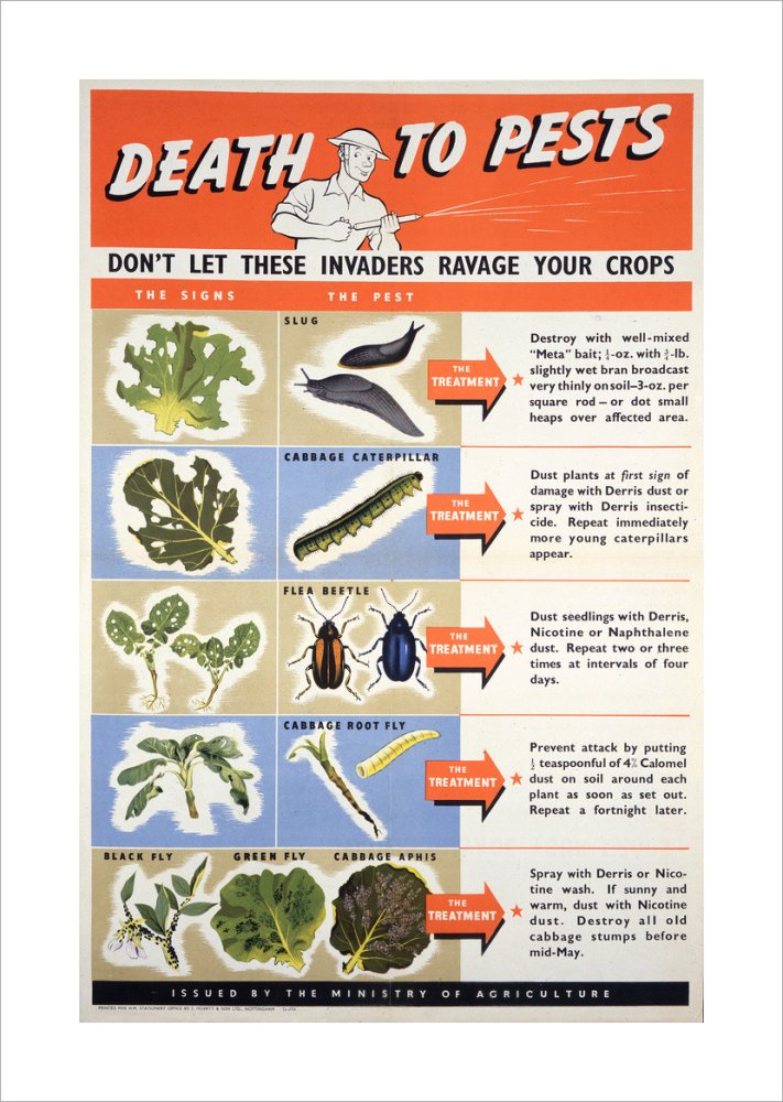 Death To Pests