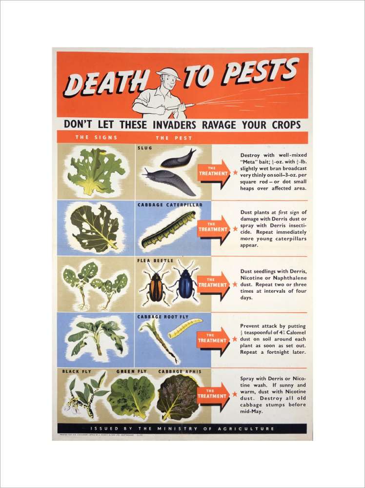 Death To Pests