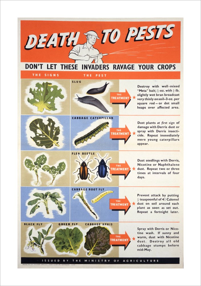 Death To Pests
