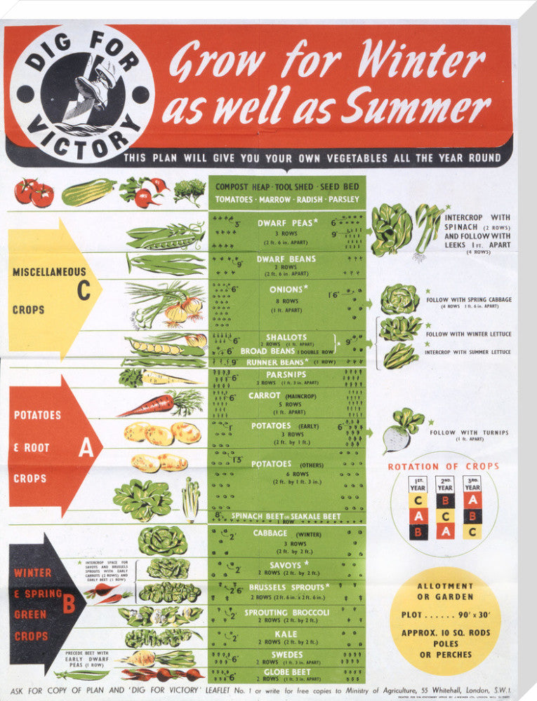 Grow for Winter as well as Summer