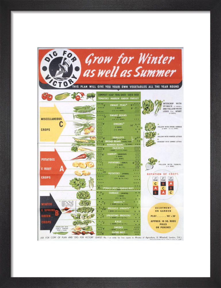 Grow for Winter as well as Summer