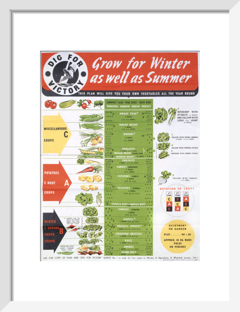 Grow for Winter as well as Summer