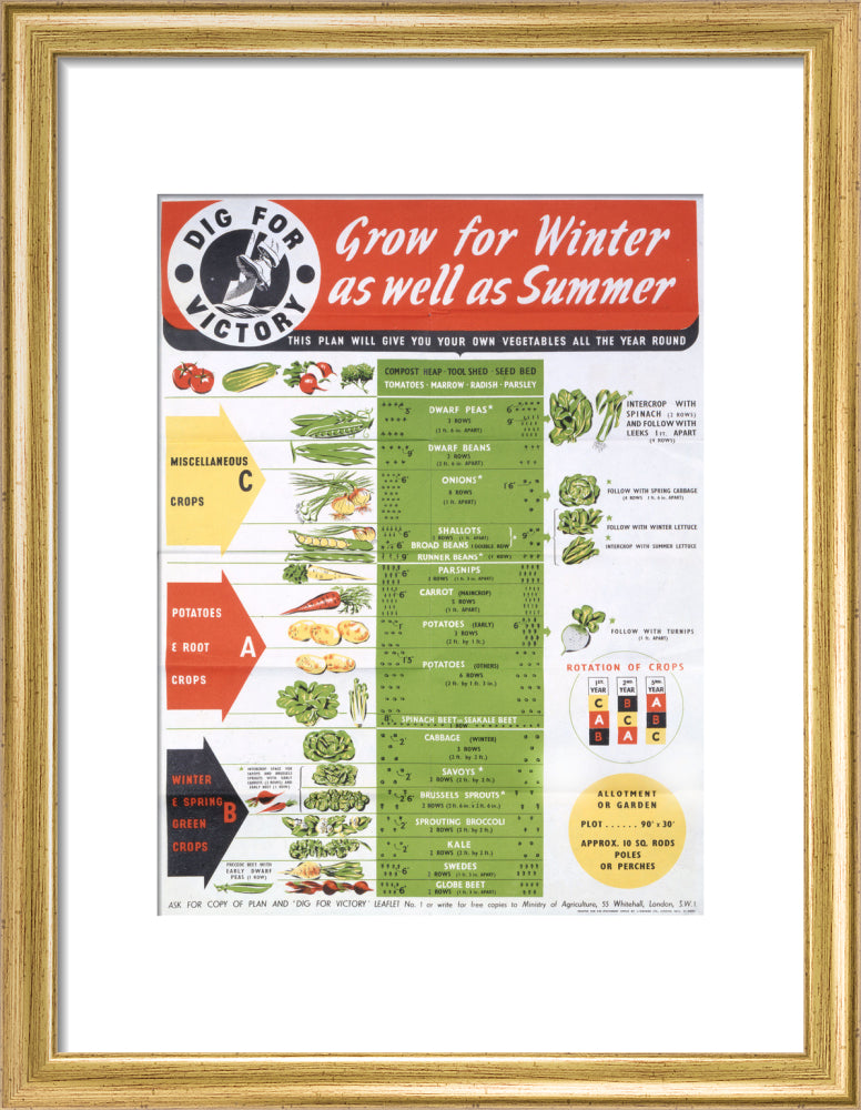 Grow for Winter as well as Summer