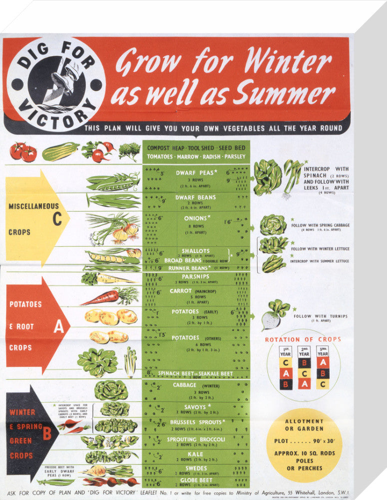 Grow for Winter as well as Summer