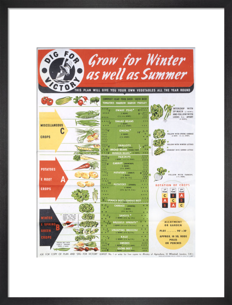 Grow for Winter as well as Summer