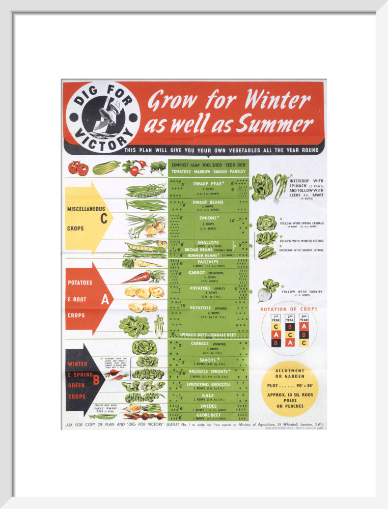 Grow for Winter as well as Summer