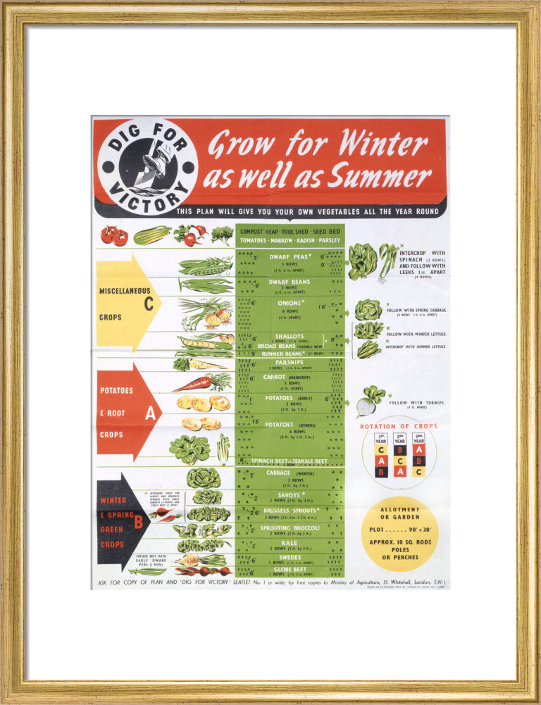 Grow for Winter as well as Summer