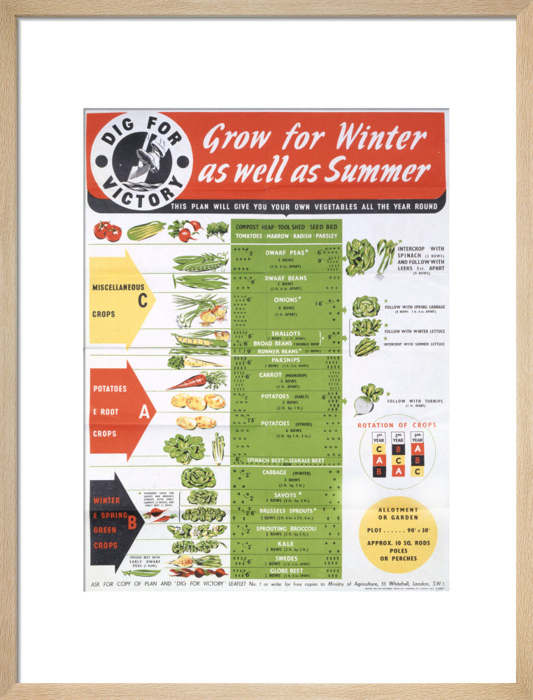 Grow for Winter as well as Summer