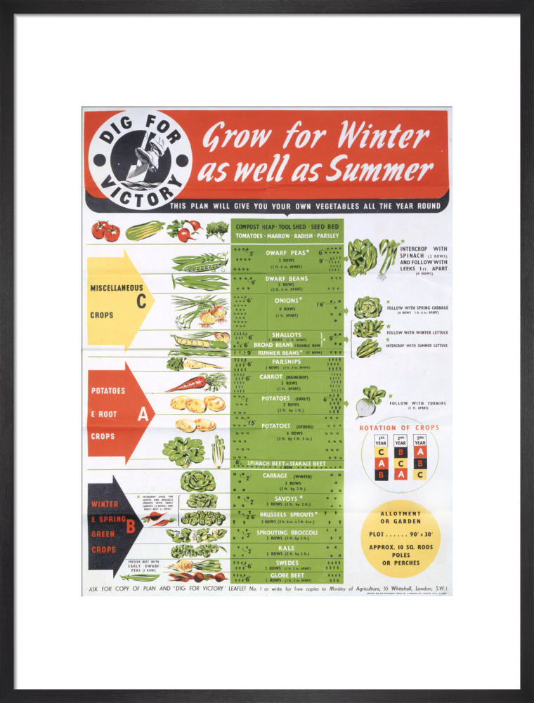 Grow for Winter as well as Summer