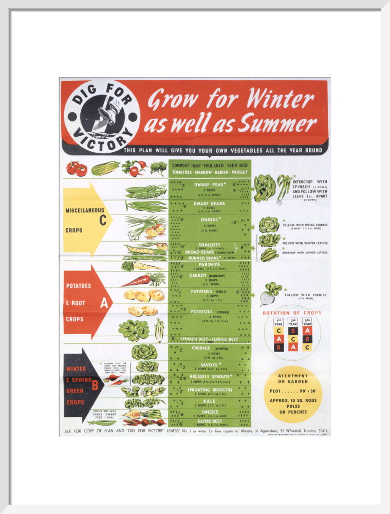 Grow for Winter as well as Summer