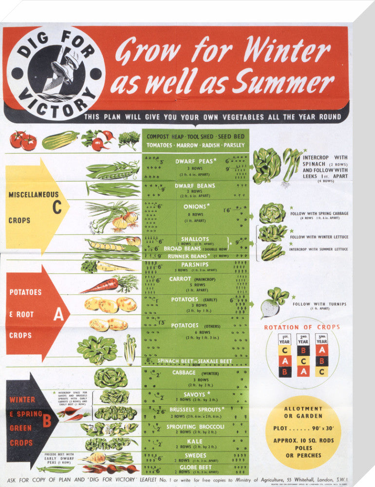 Grow for Winter as well as Summer