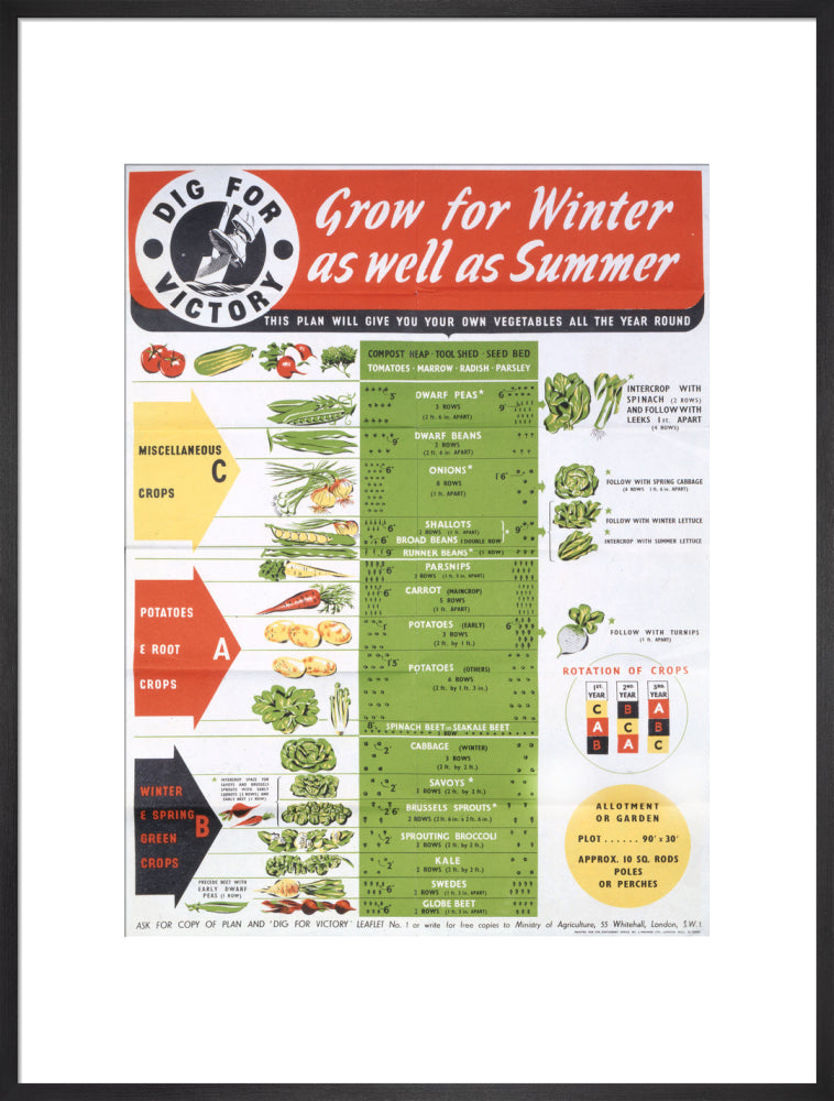 Grow for Winter as well as Summer