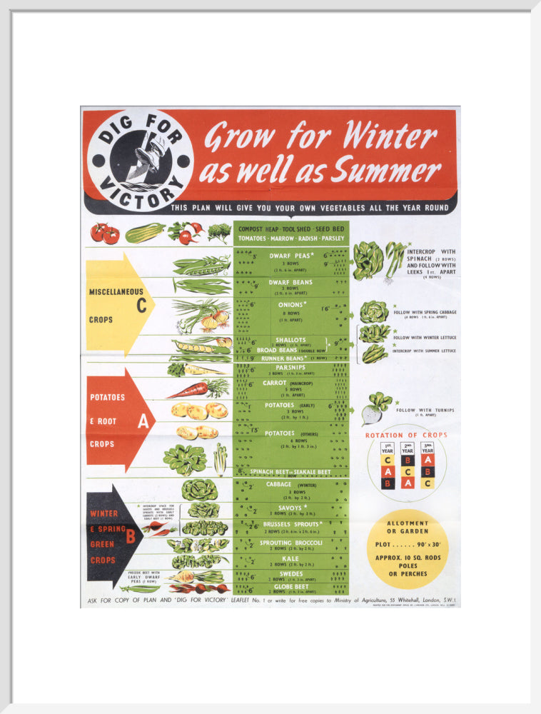 Grow for Winter as well as Summer