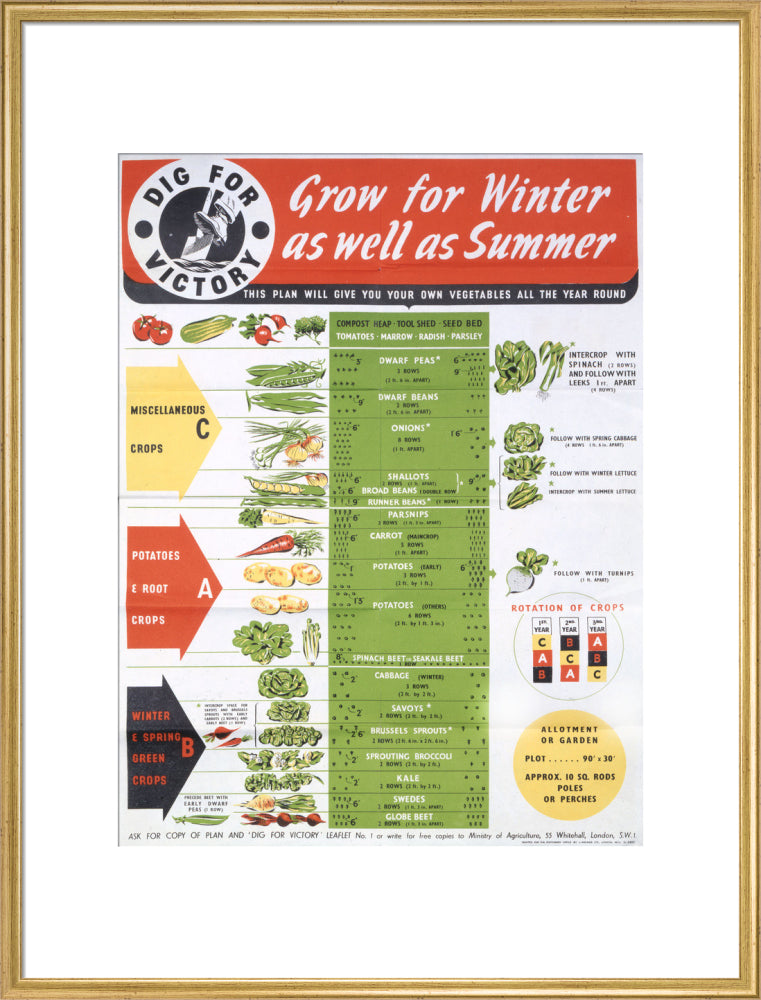 Grow for Winter as well as Summer