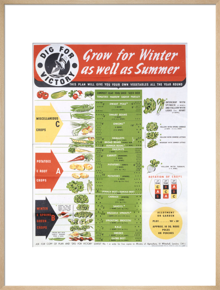 Grow for Winter as well as Summer