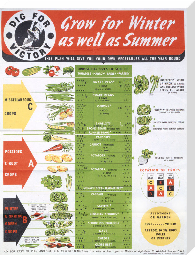 Grow for Winter as well as Summer