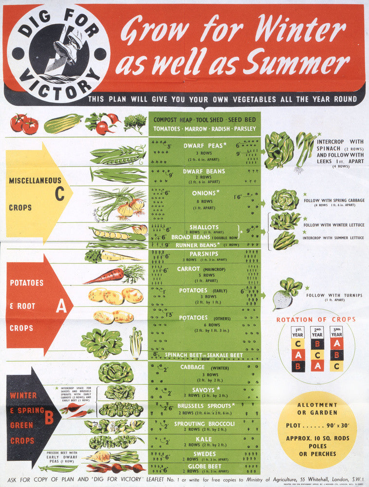 Grow for Winter as well as Summer