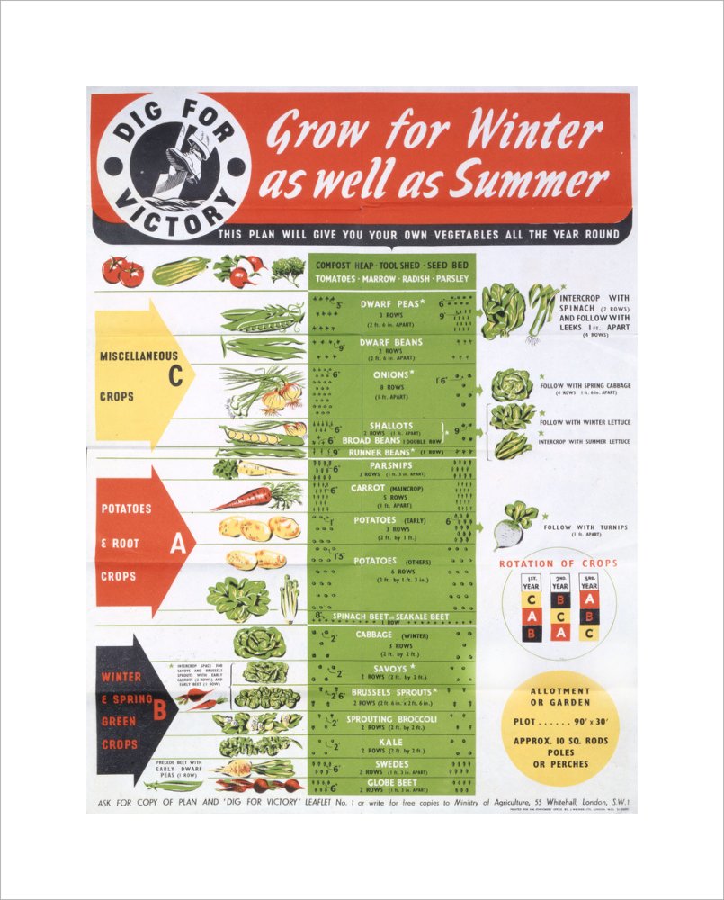 Grow for Winter as well as Summer