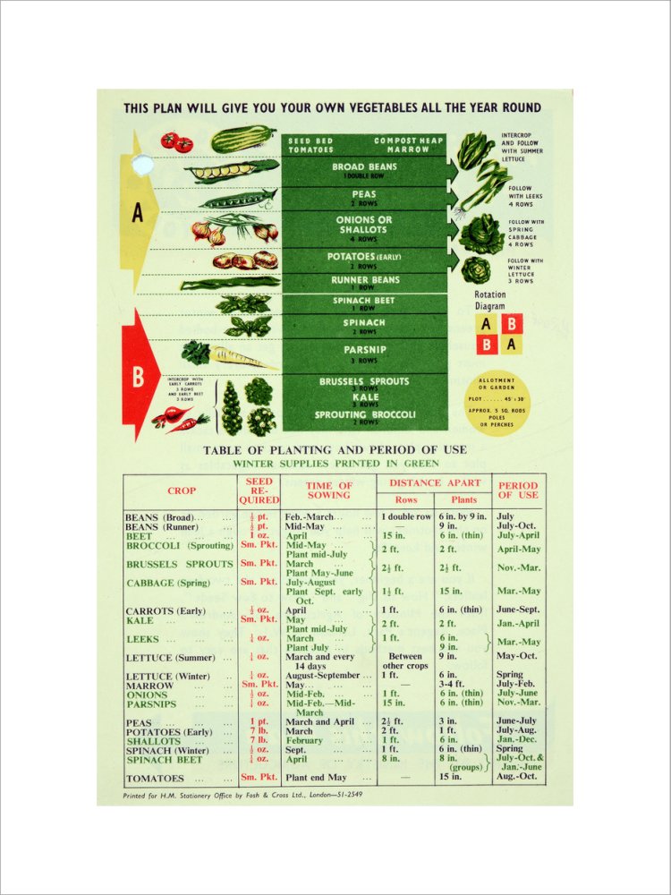 Making The Most of A Small Plot