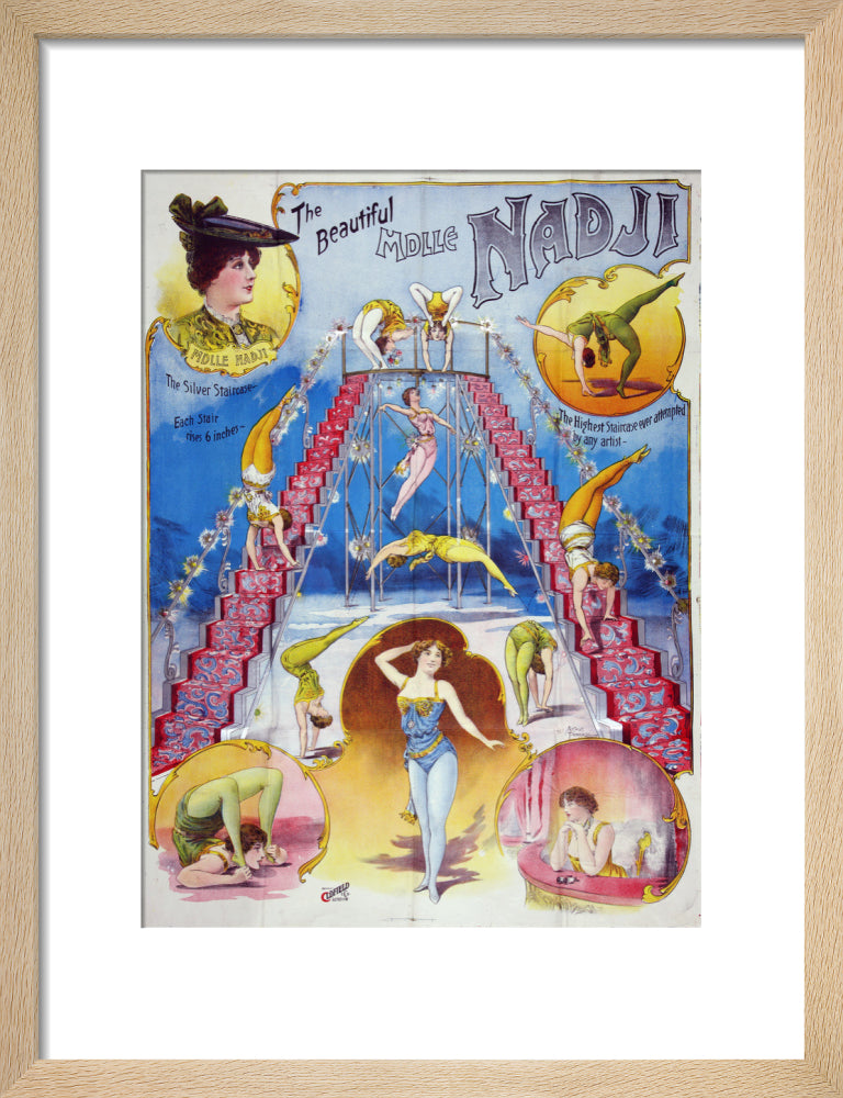 The beautiful Mademoiselle Nadji, acrobat