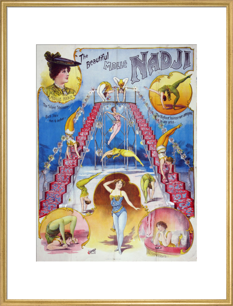The beautiful Mademoiselle Nadji, acrobat