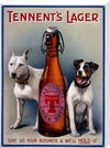 Tennent&#39;s Lager
