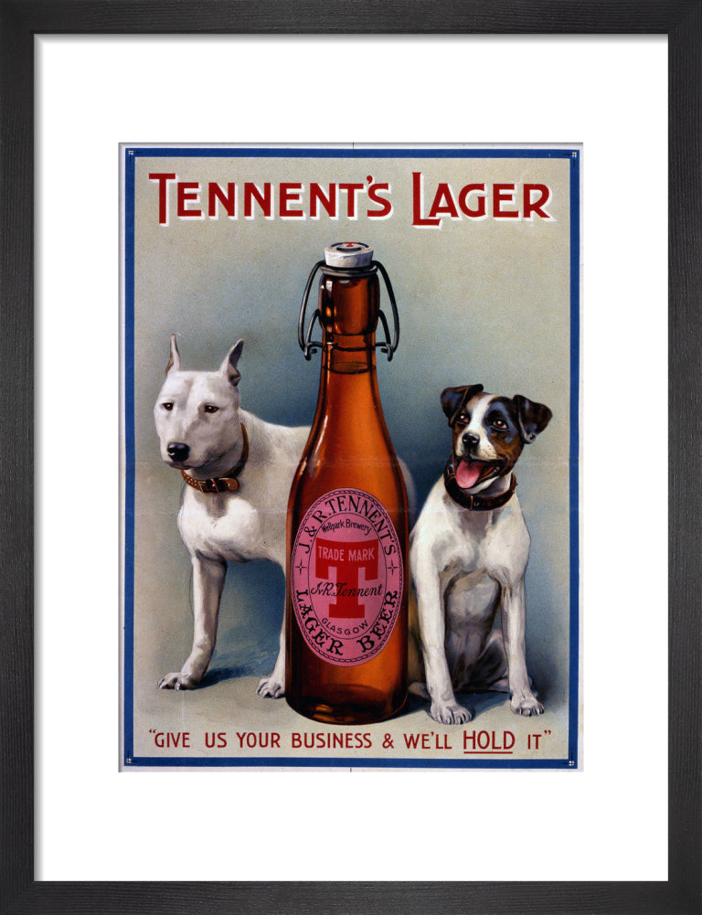 Tennent&#39;s Lager
