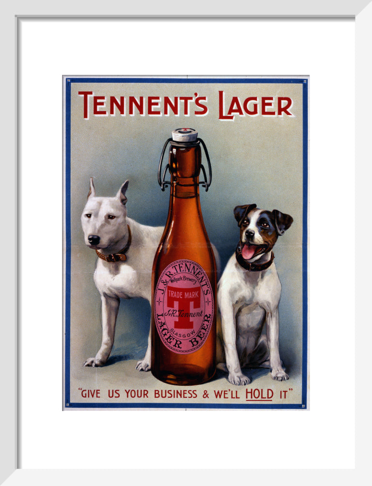 Tennent&#39;s Lager