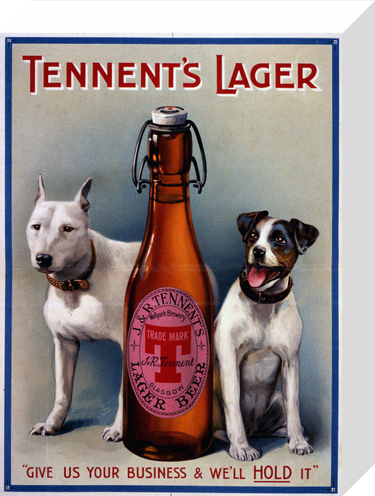 Tennent&#39;s Lager