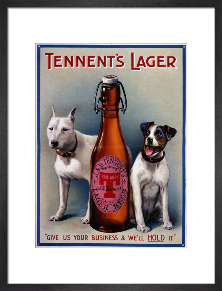 Tennent&#39;s Lager