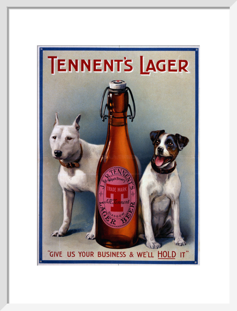 Tennent&#39;s Lager