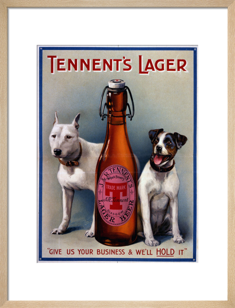 Tennent&#39;s Lager