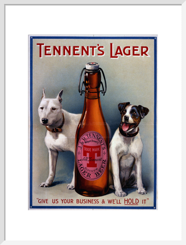 Tennent&#39;s Lager