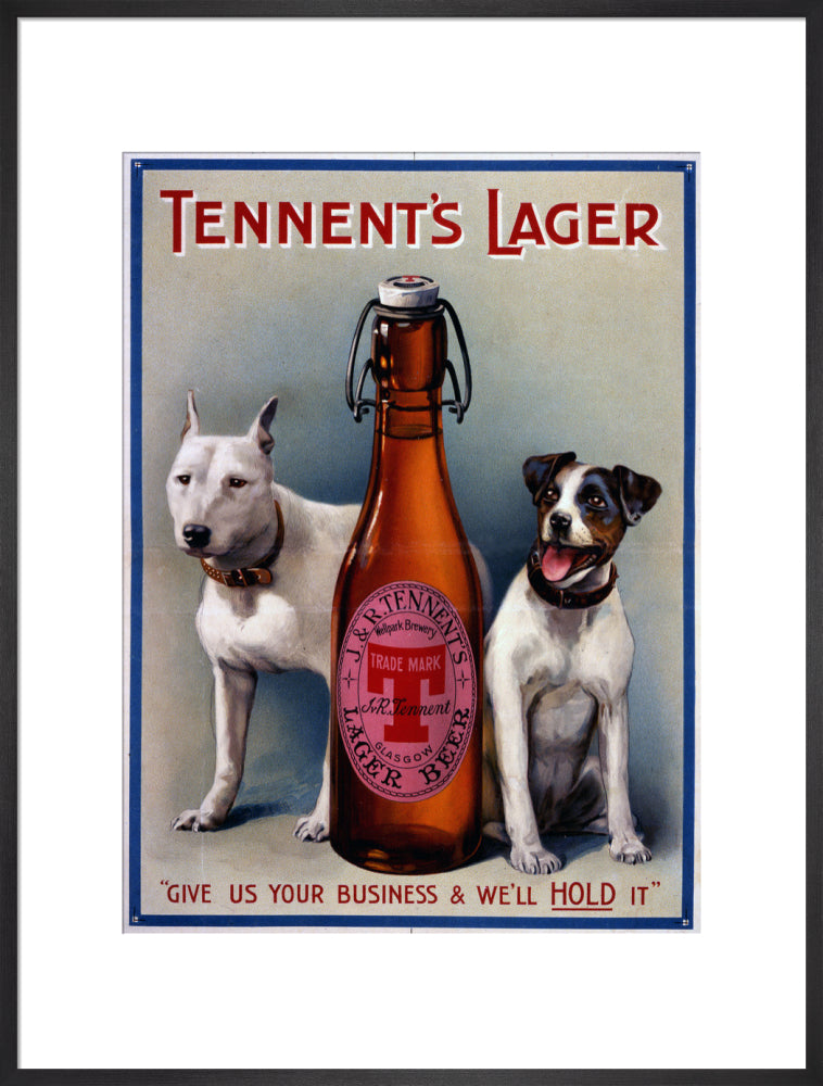 Tennent&#39;s Lager