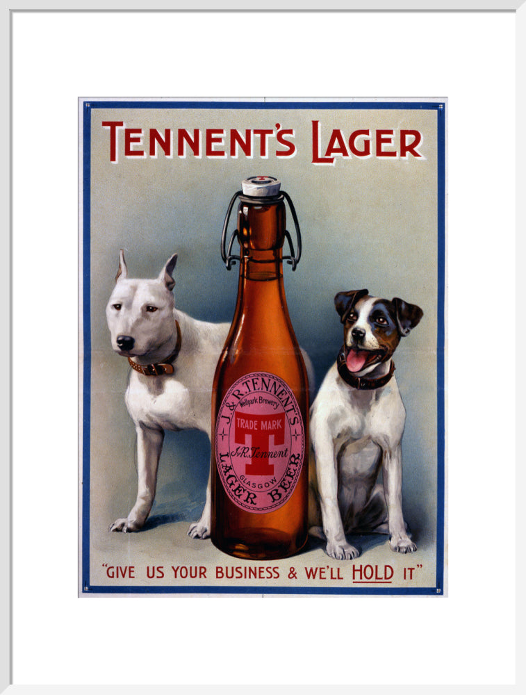 Tennent&#39;s Lager