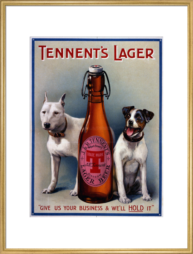 Tennent&#39;s Lager