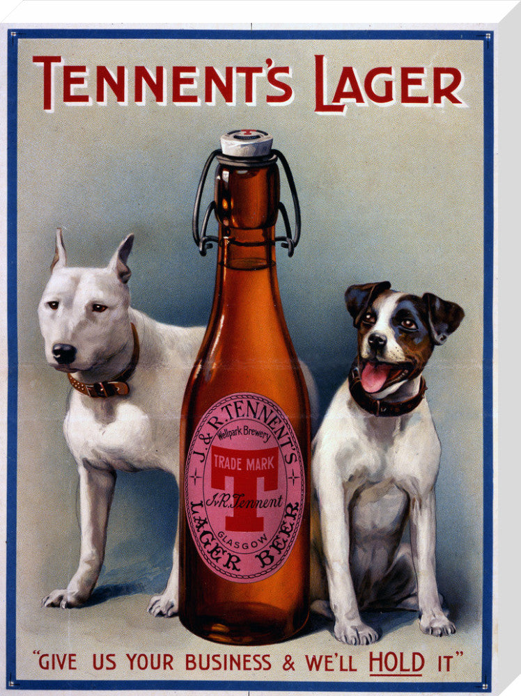 Tennent&#39;s Lager