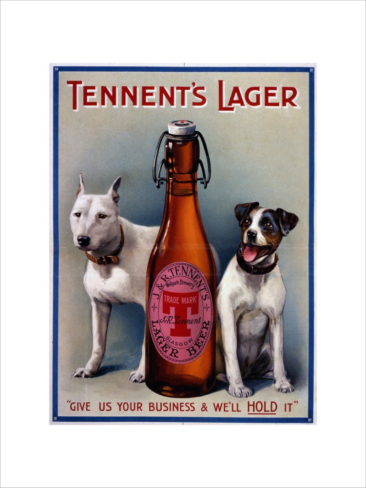 Tennent&#39;s Lager