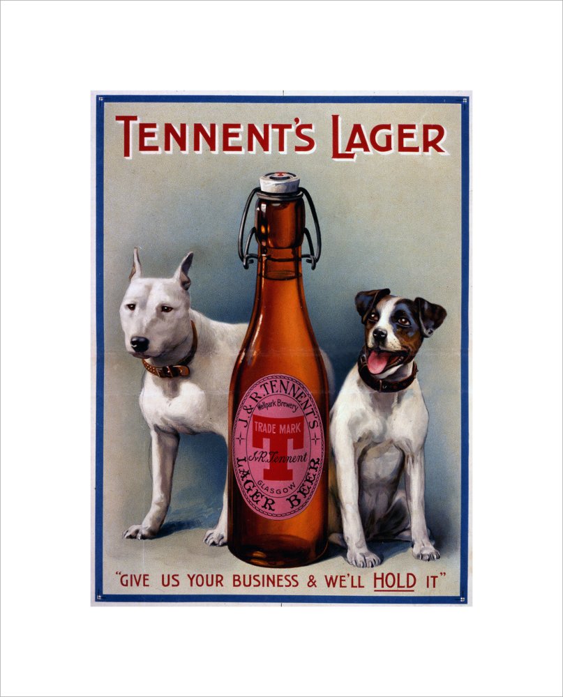Tennent&#39;s Lager