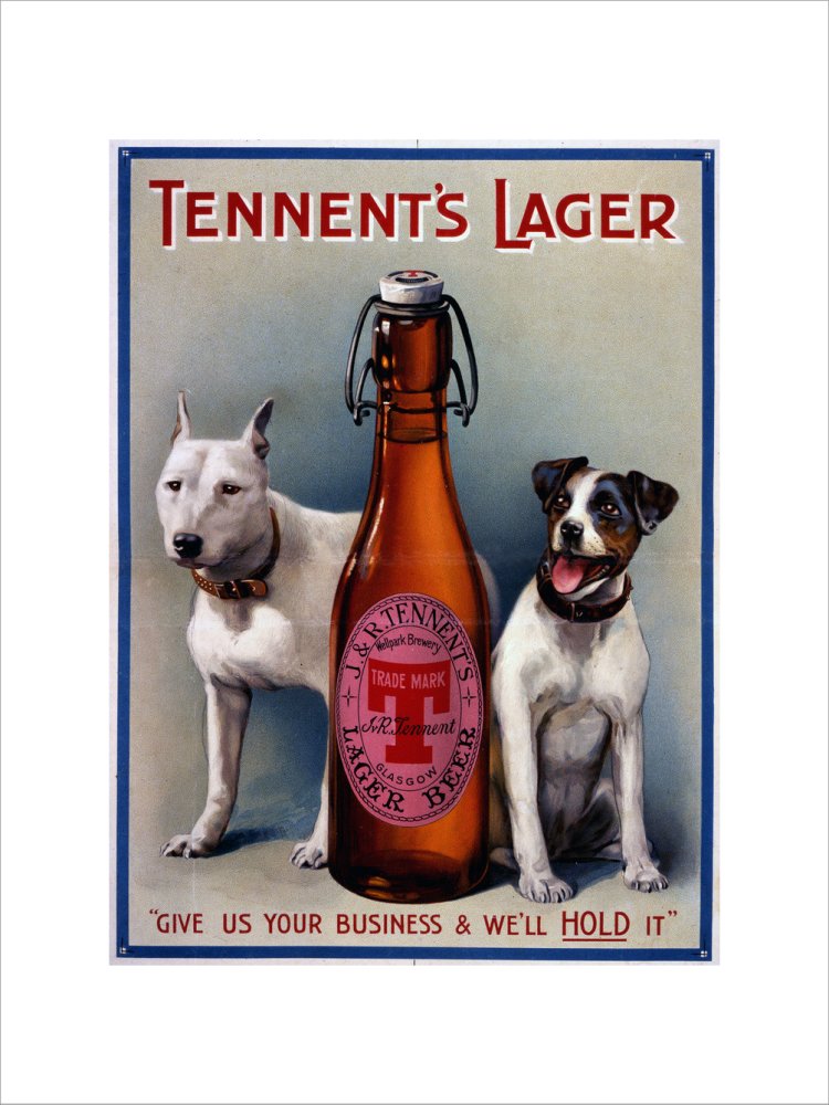 Tennent&#39;s Lager