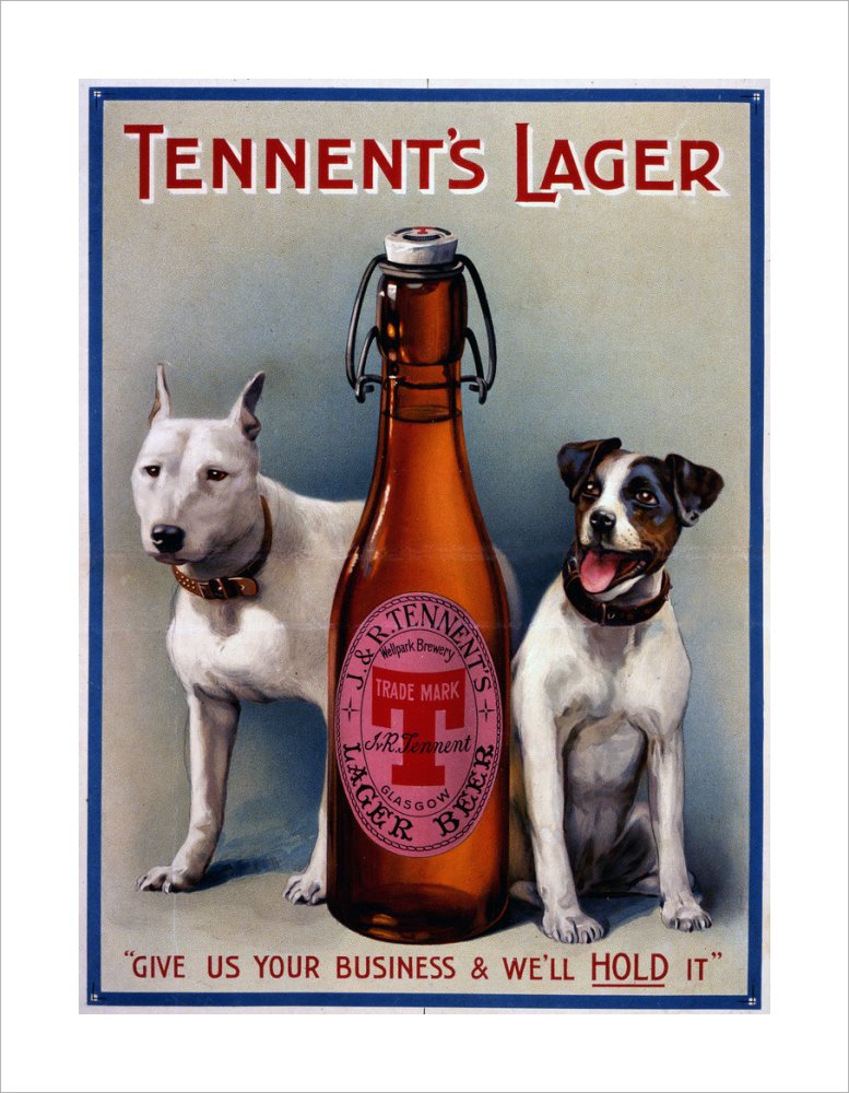 Tennent&#39;s Lager