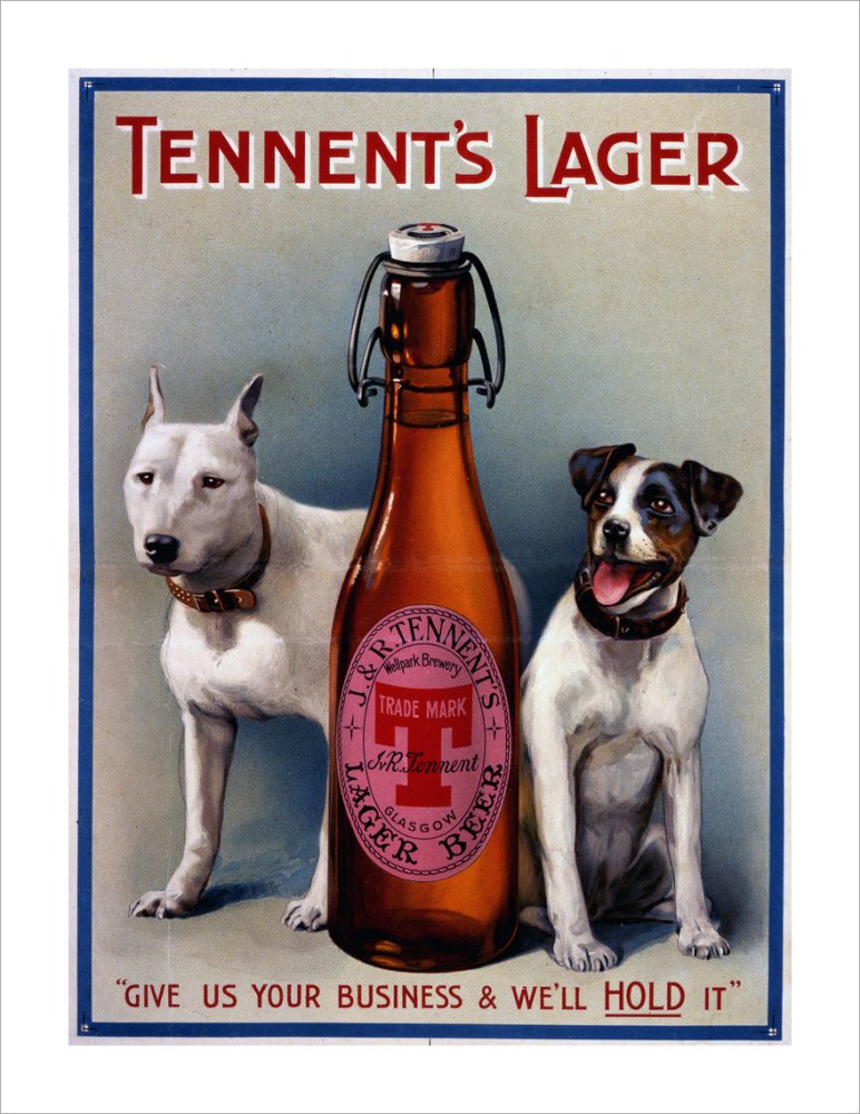 Tennent&#39;s Lager